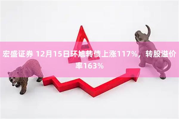 宏盛证券 12月15日环旭转债上涨117%，转股溢价率163%