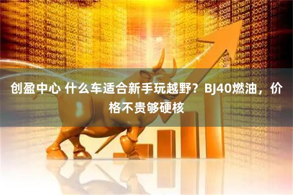 创盈中心 什么车适合新手玩越野？BJ40燃油，价格不贵够硬核